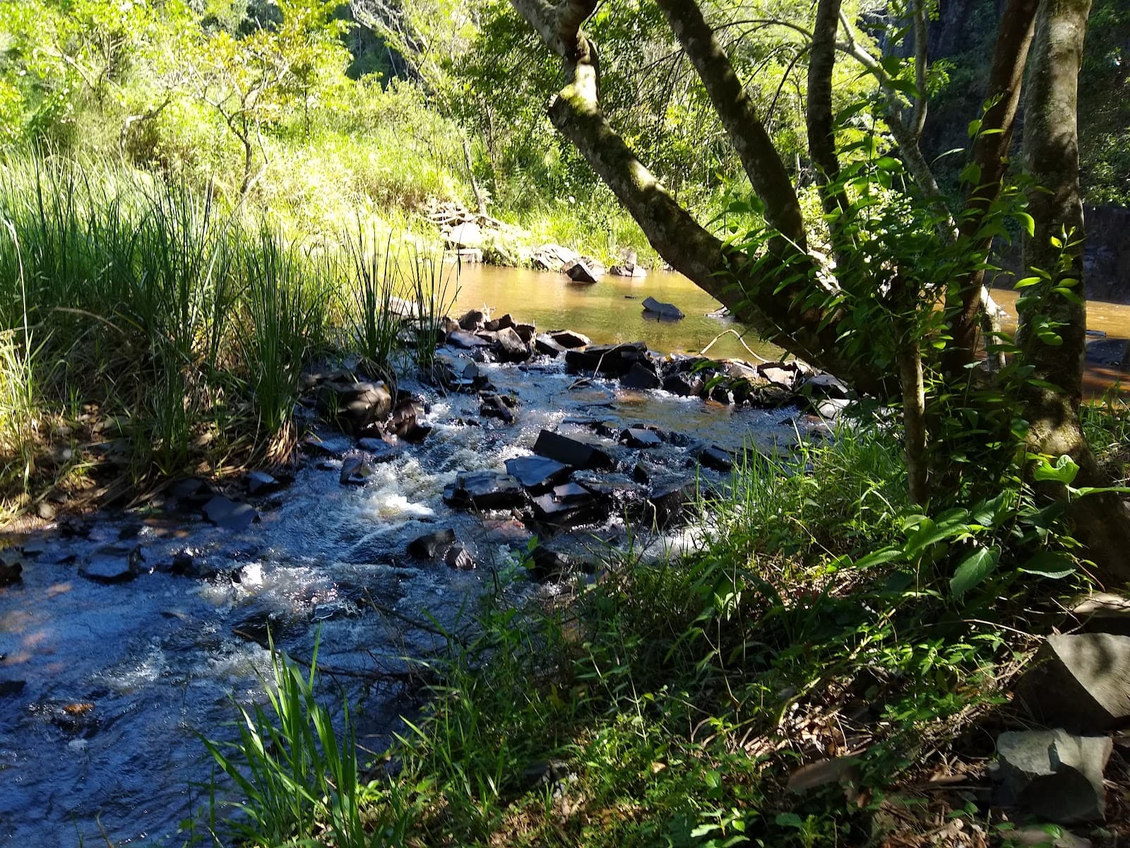 Cachoeira dos Mineiros - foto 7