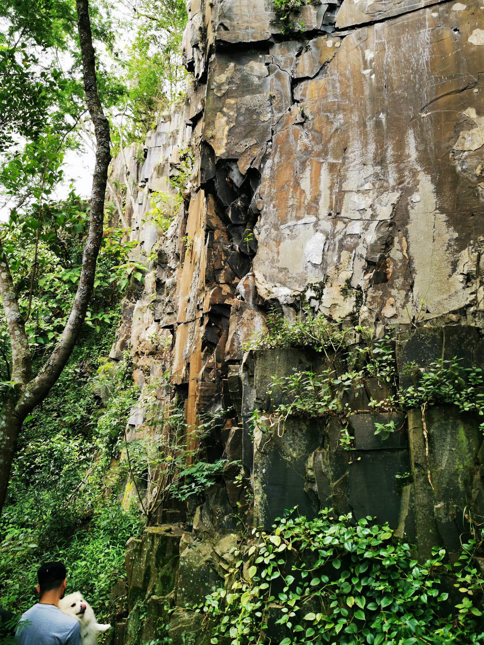 Cachoeira dos Mineiros - foto 8
