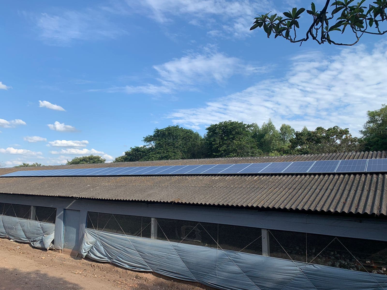 Ditecsolar - foto 4