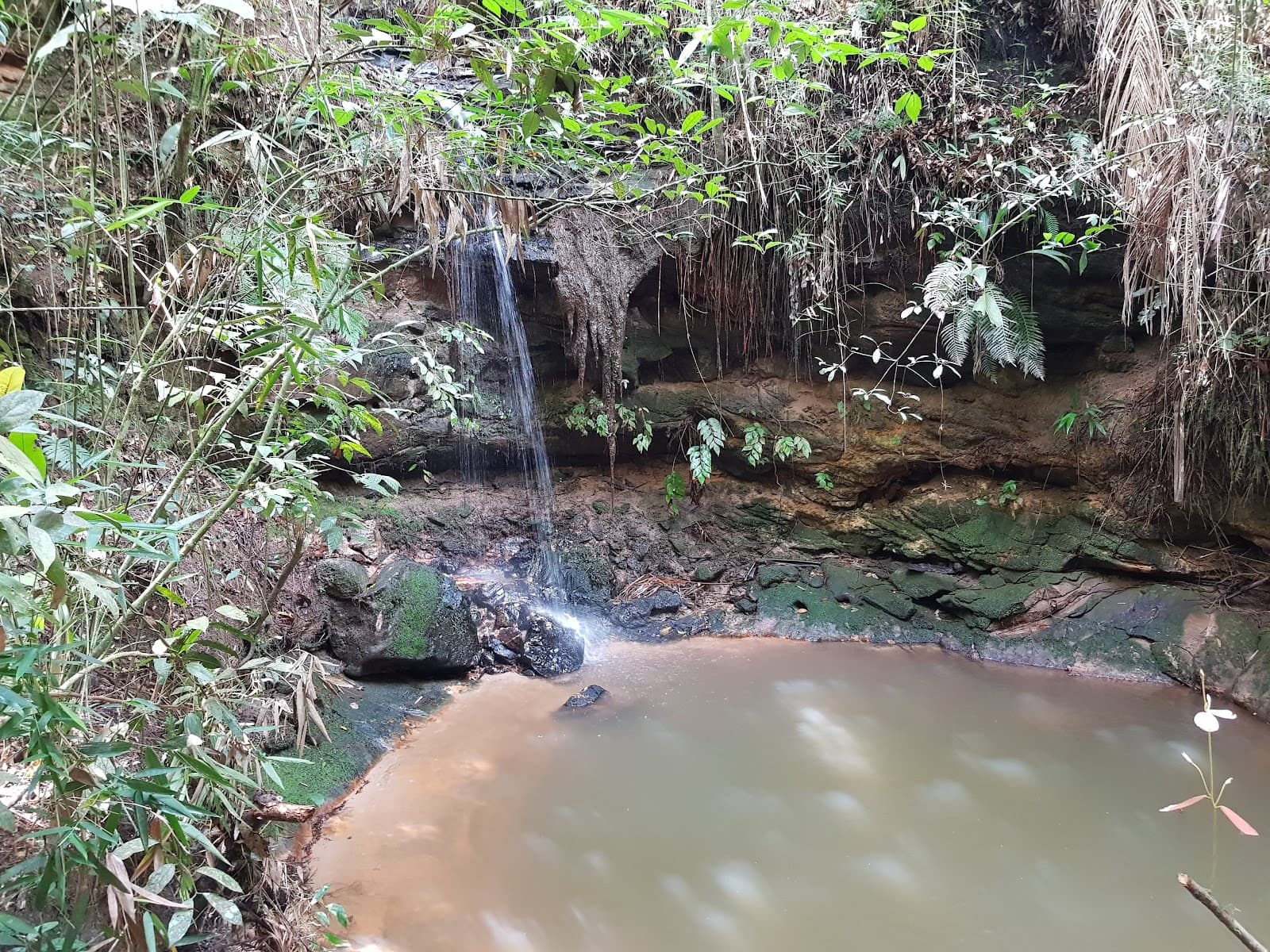 Três Pedras - foto 5