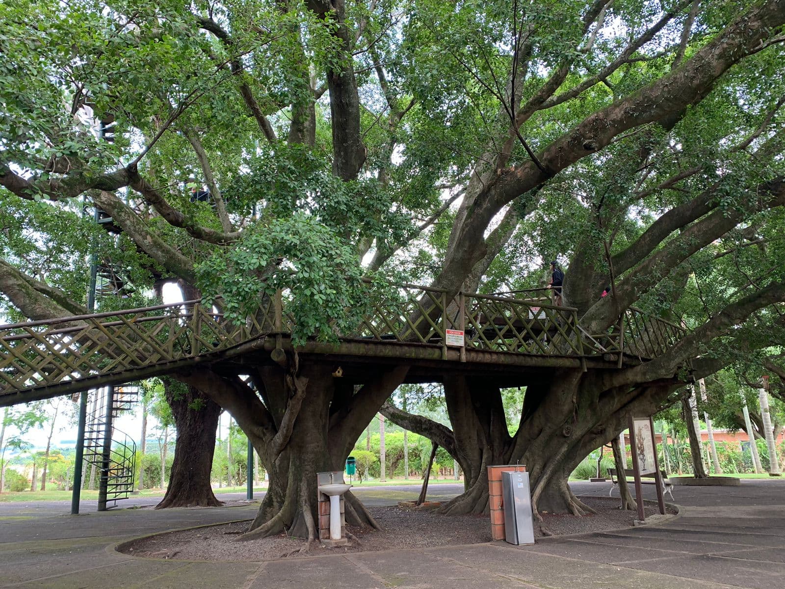 Parque Maeda - foto 6