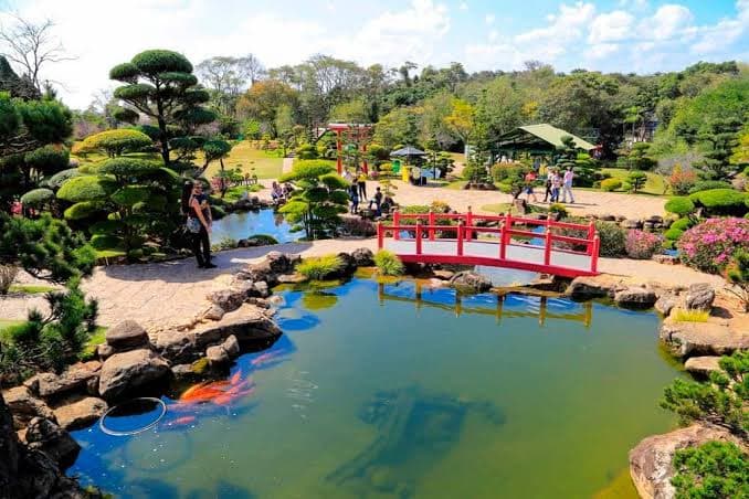 Parque Maeda - foto 9
