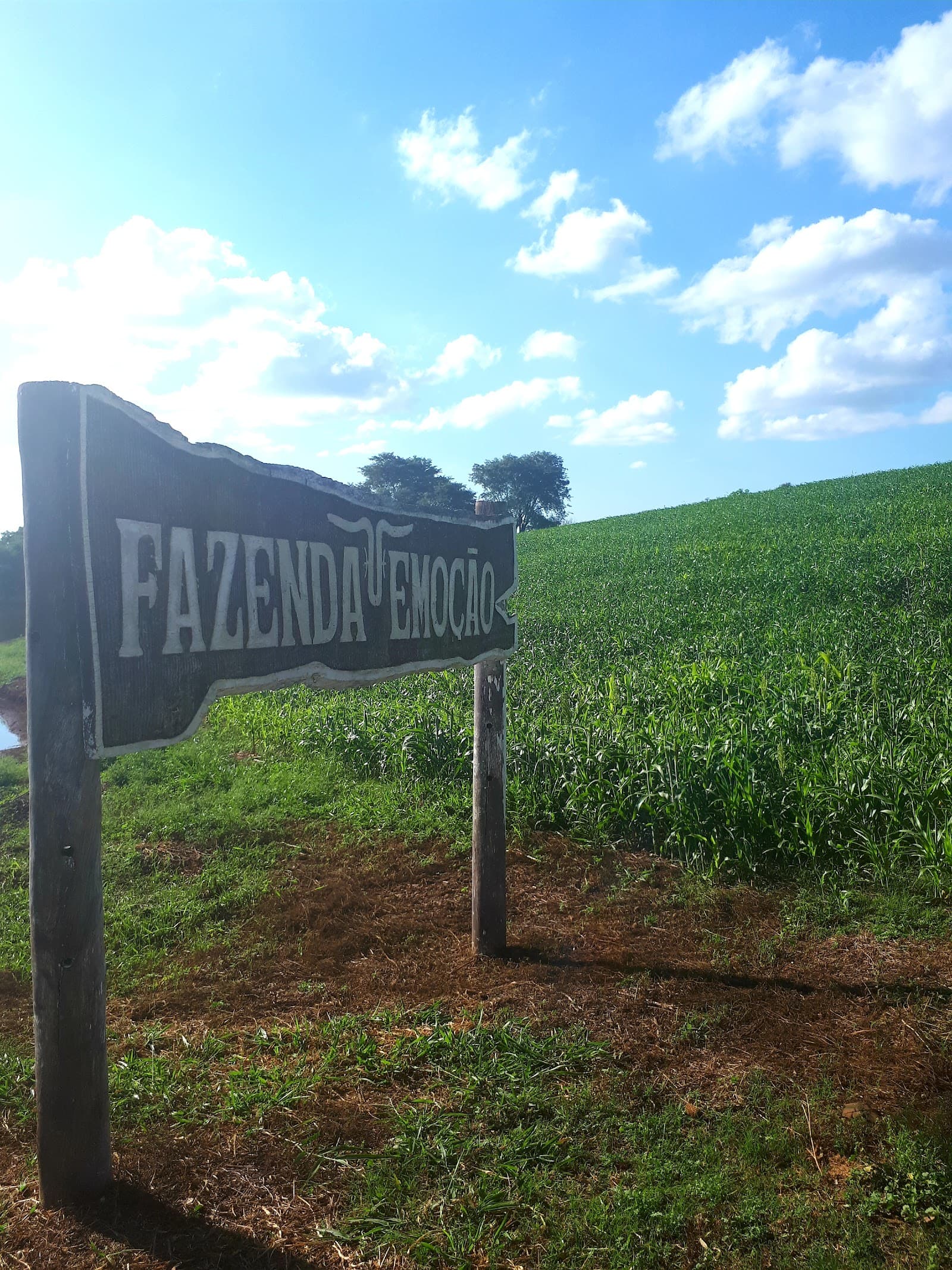 Fazenda Emoção - foto 1
