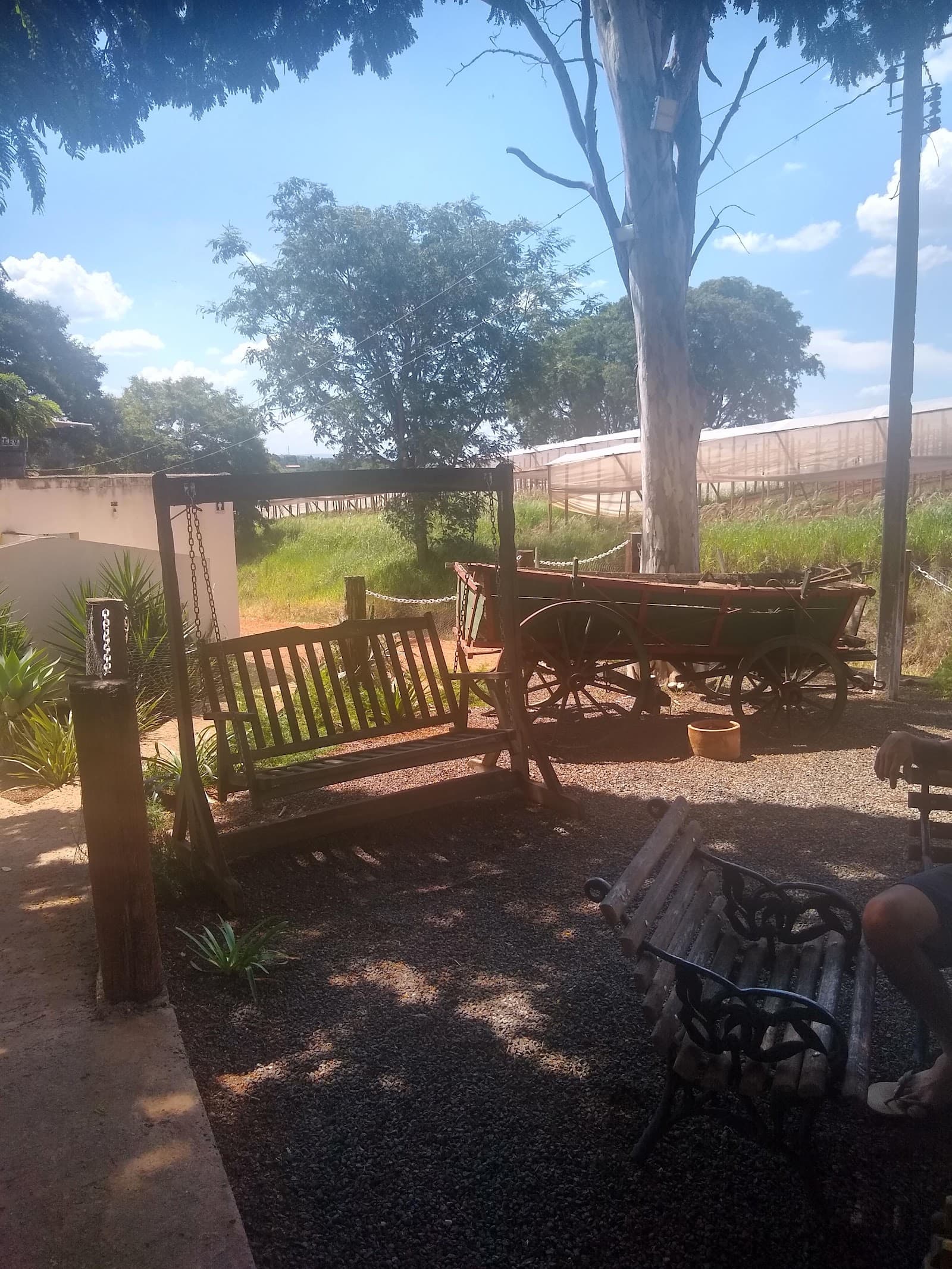 Fazenda Emoção - foto 5