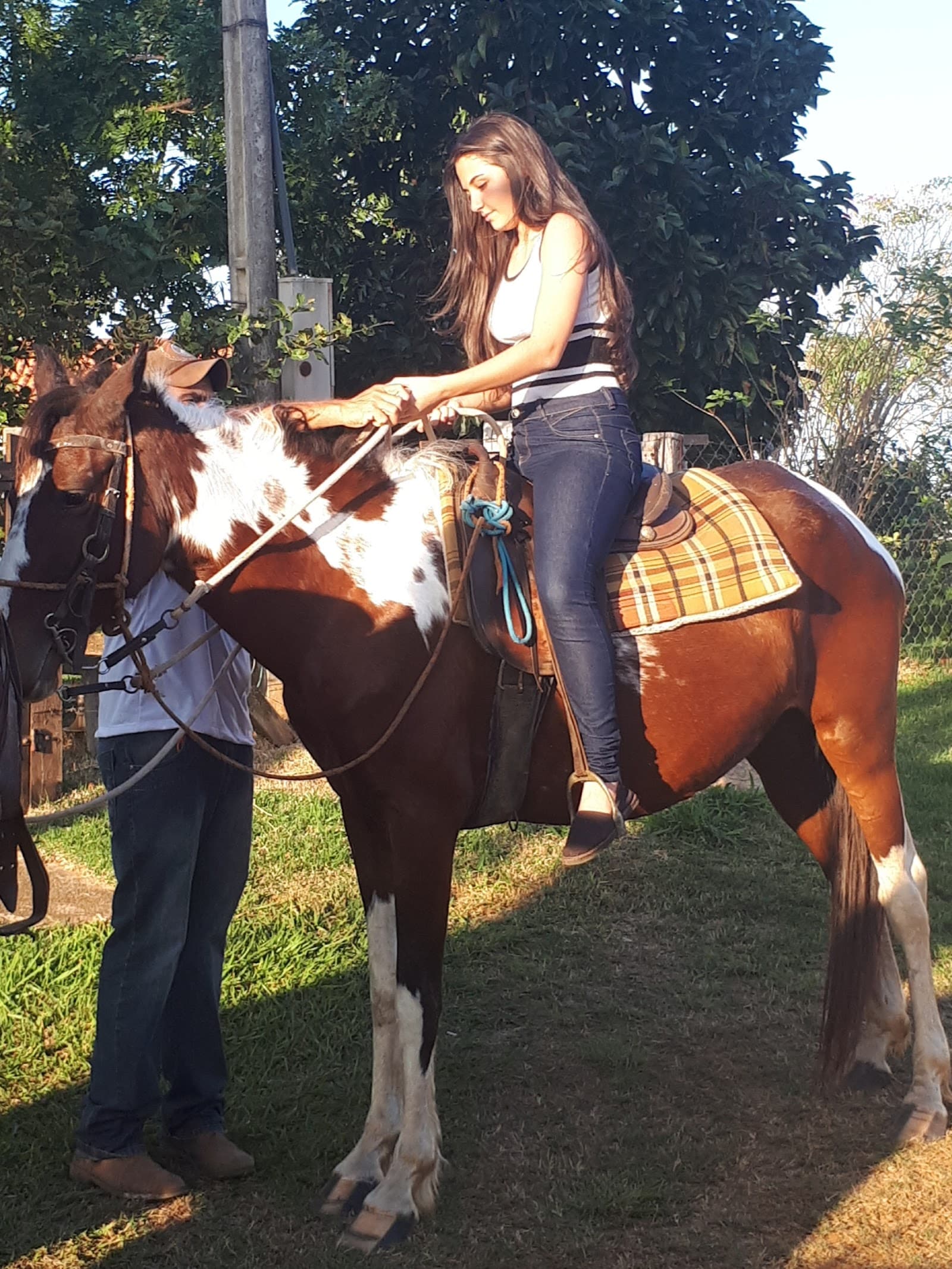 Fazenda Emoção - foto 9