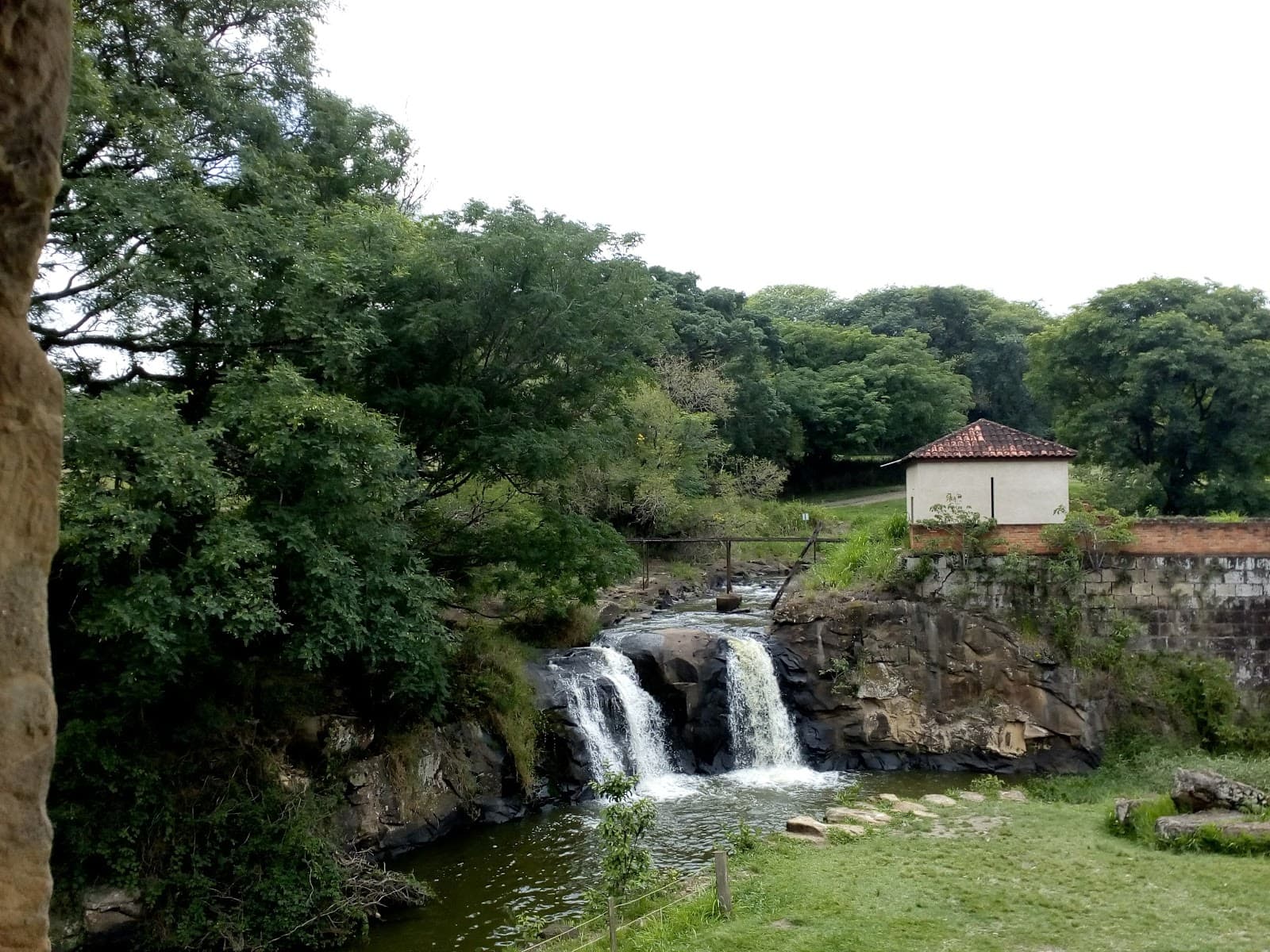 Floresta Nacional de Ipanema - foto 2