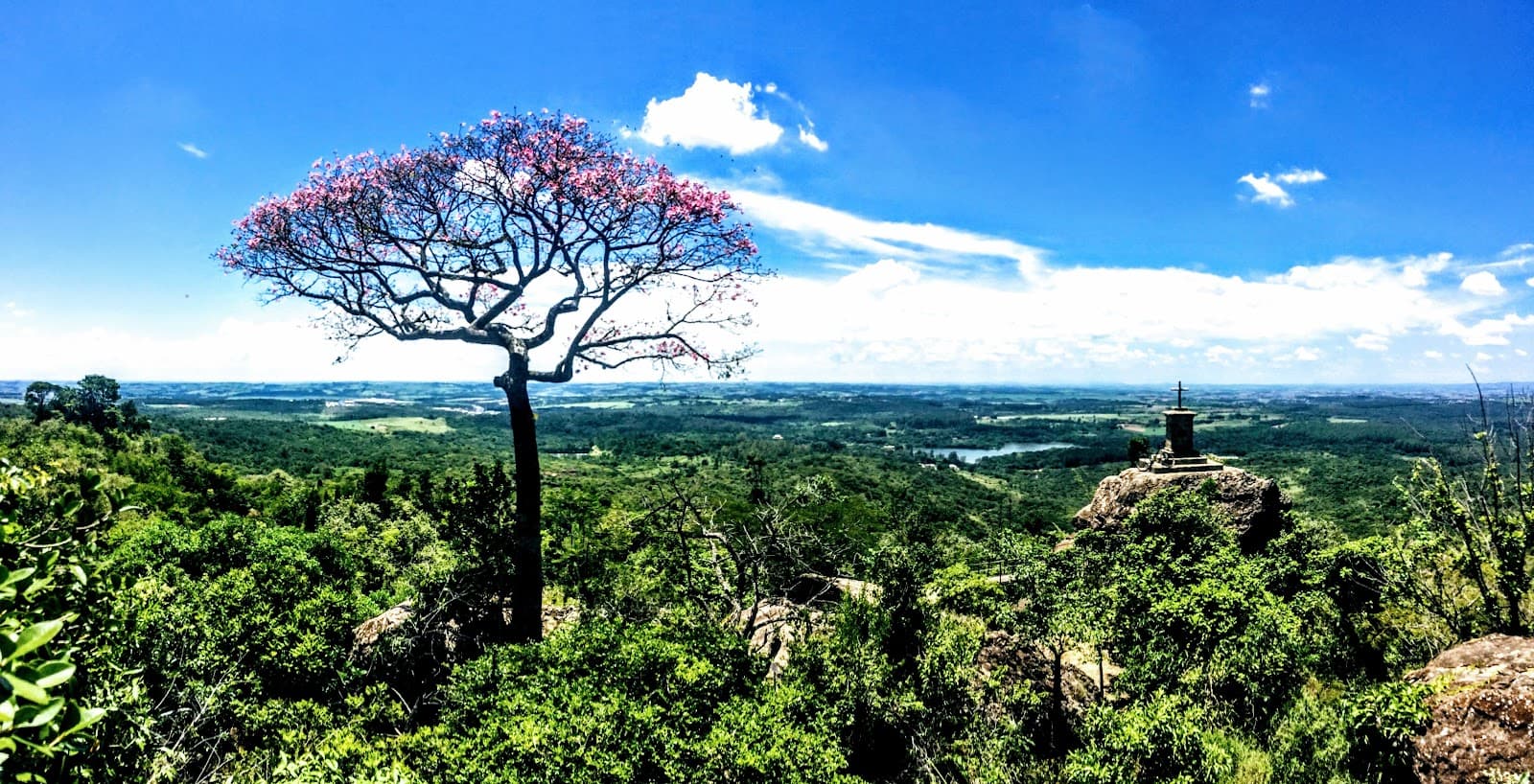 Floresta Nacional de Ipanema - foto 8