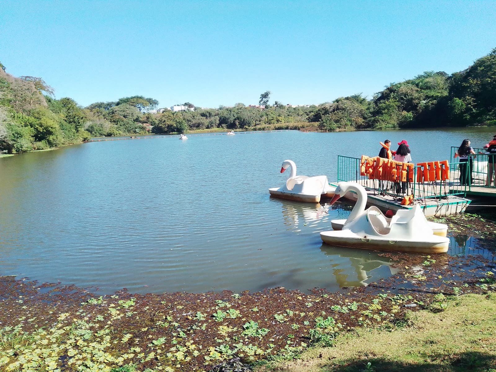 Parque Ecológico Eugênio Walter - foto 2