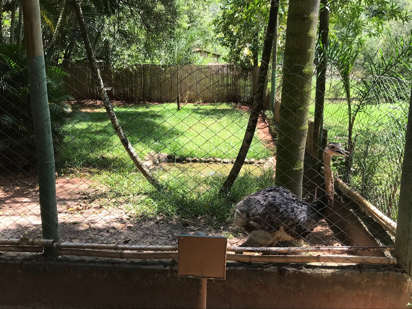 Parque Ecológico Eugênio Walter - foto 6