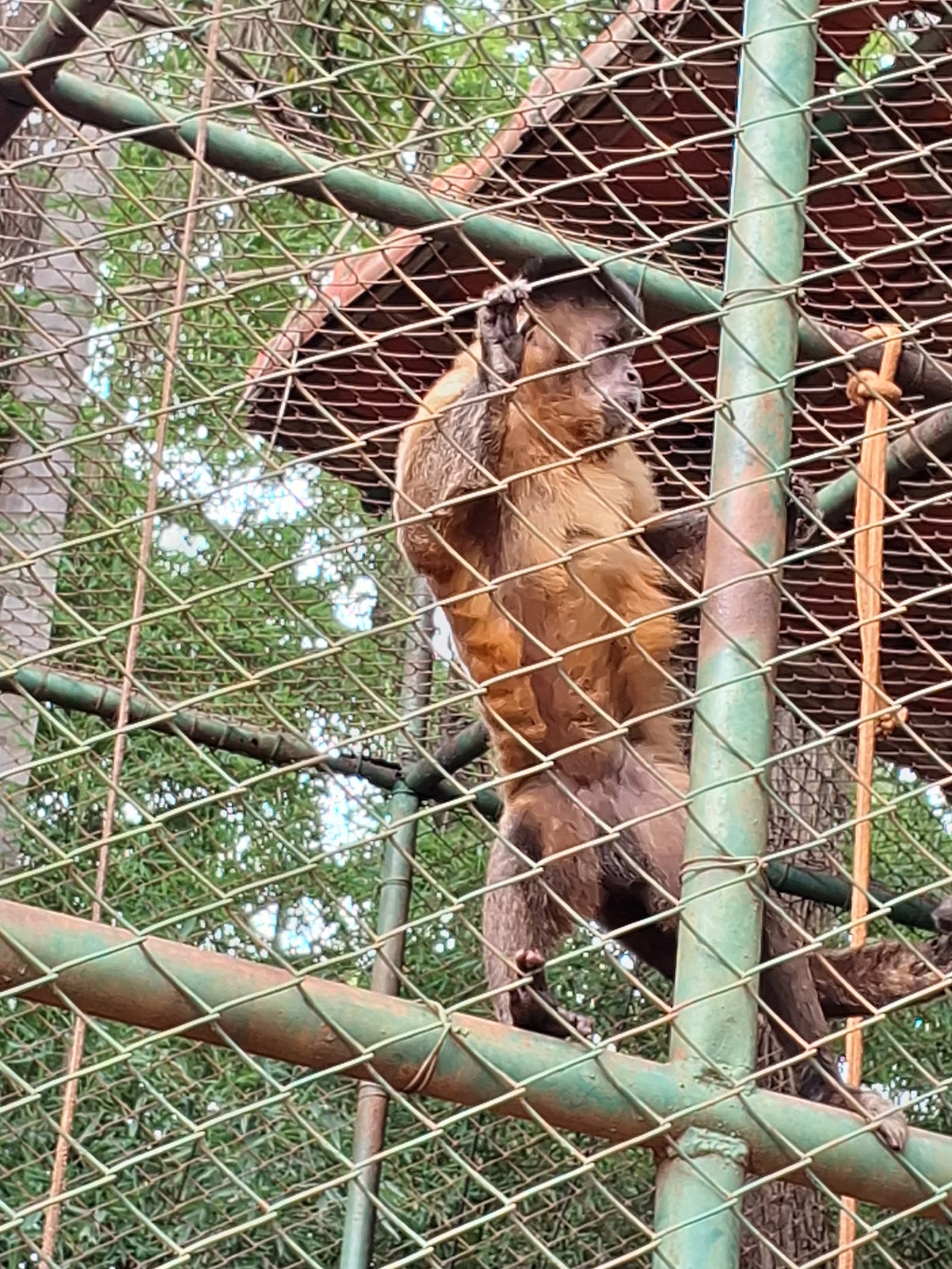 Parque Ecológico Eugênio Walter - foto 7