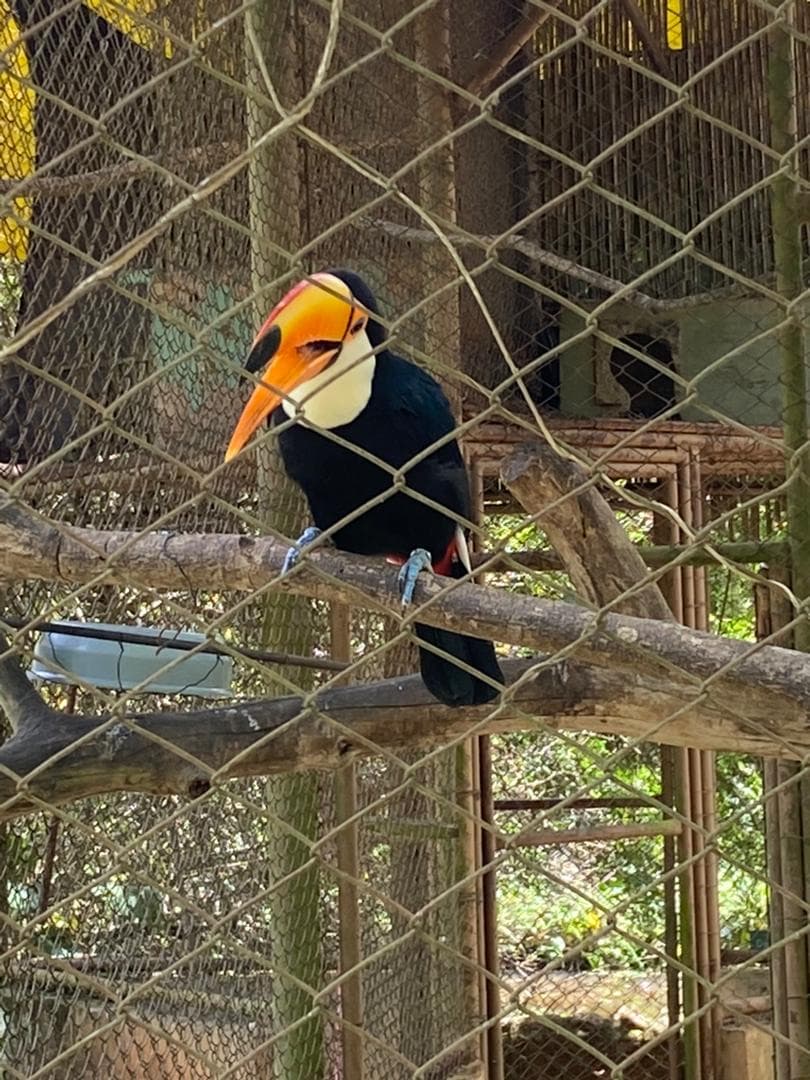 Parque Ecológico Eugênio Walter - foto 9