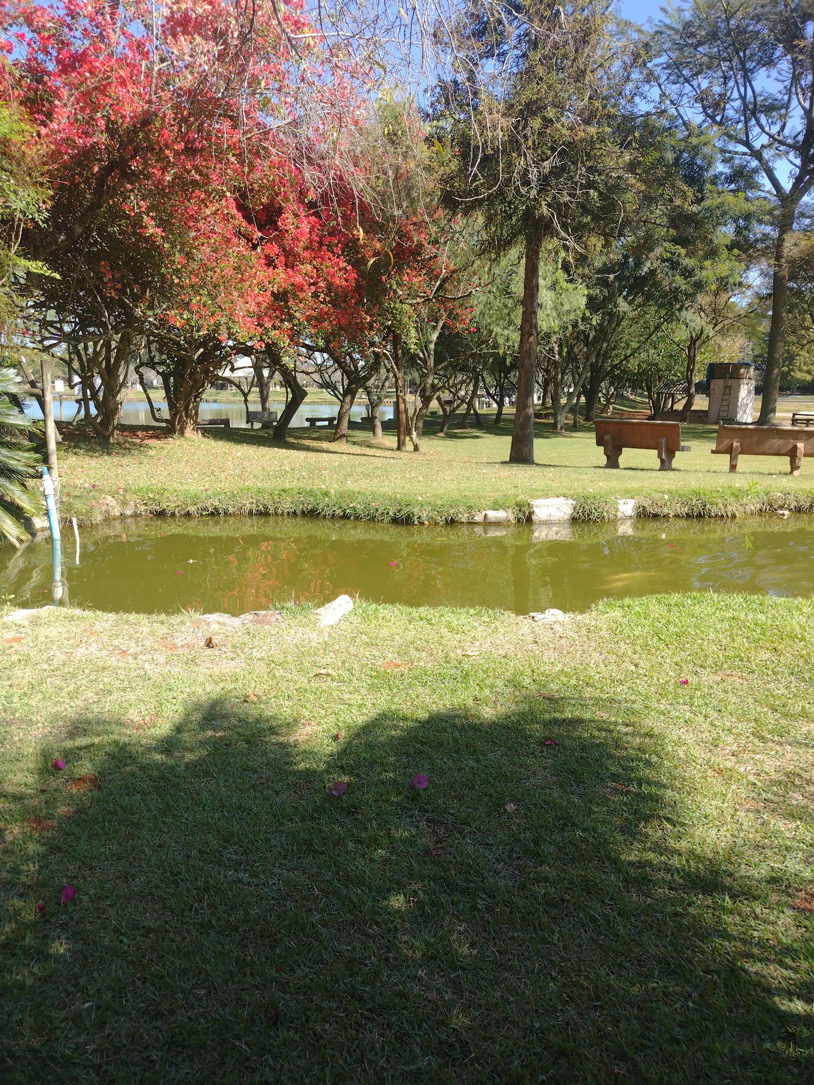 Fishing Park - foto 10