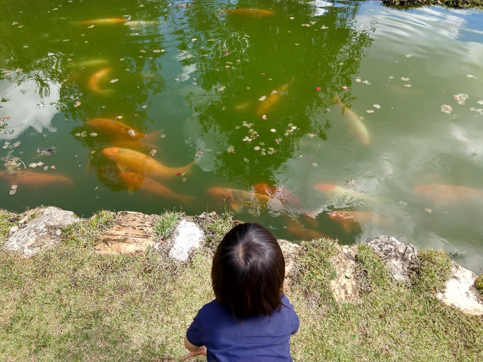 Fishing Park - foto 7