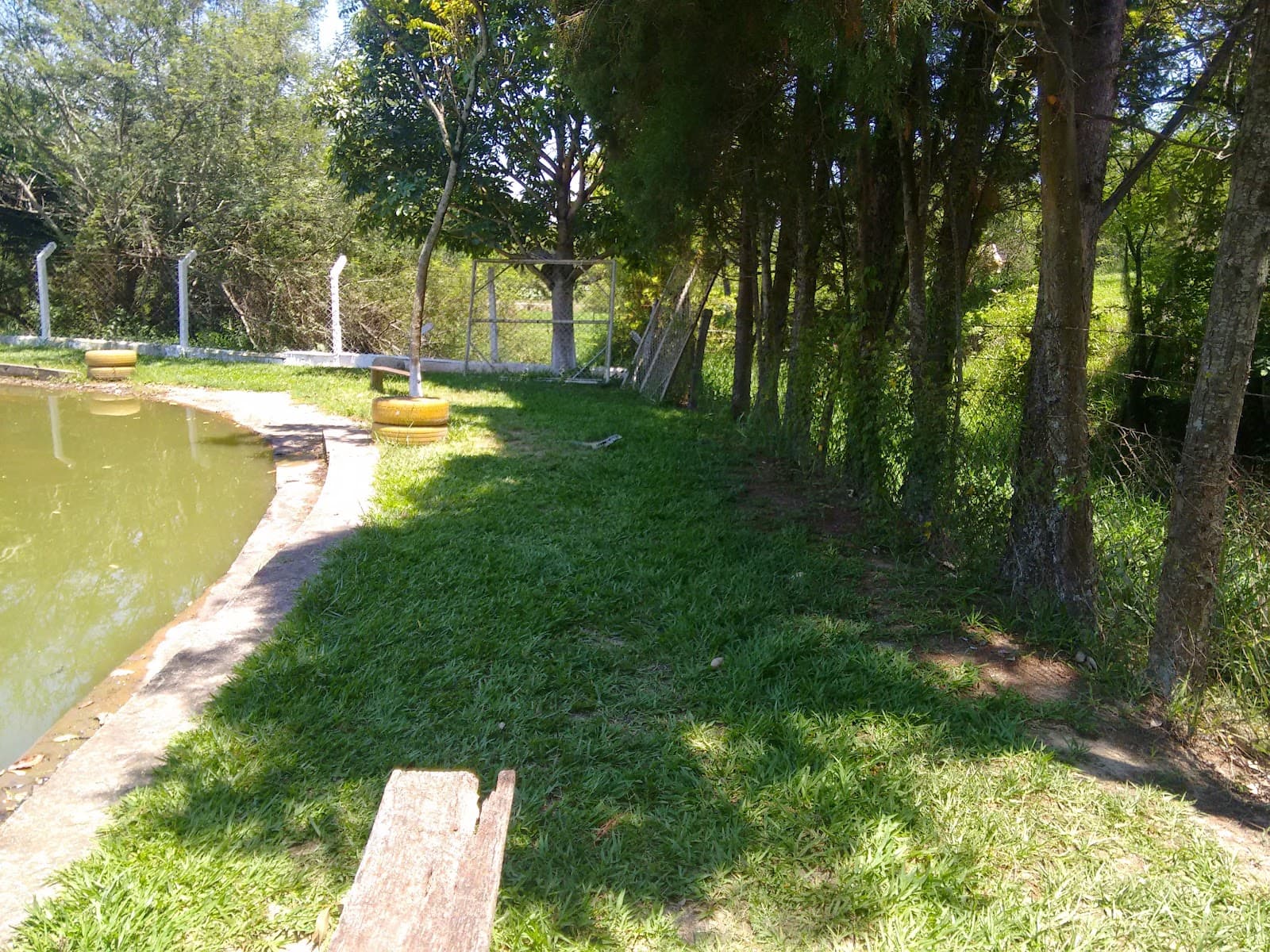 DNP Terraplanagem e Pavimentadora Foresto Ltda - foto 4